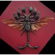 Flying Scorpion Hybrid Taxidermy Art
