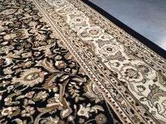 Exquisite Sarouk Traditional Rug 8x11