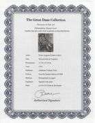 Limited Edition Pierre-Auguste Renoir (After) Original Heliogravure 1919