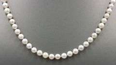 White fresh water pearl strand necklace