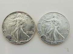 1987 & 2002 American Silver Eagles, Slightly Imperfect