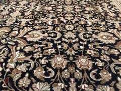 Exquisite Sarouk Traditional Rug 8x11