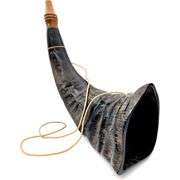 War Horn Real Buffalo Horn Battle Trumpet