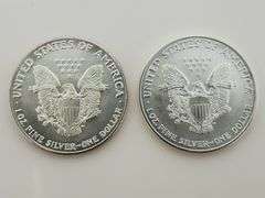 1987 & 2002 American Silver Eagles, Slightly Imperfect