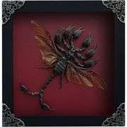 Flying Scorpion Hybrid Taxidermy Art