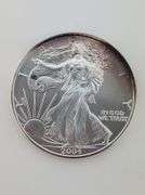 2004 American Silver Eagle, Toned