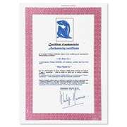 Nu Bleu II by Henri Matisse