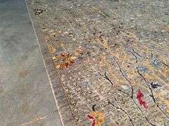 Exquisite Super Zighler Rug 9x11.9