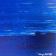 Fluke by Wyland Original
