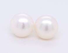 Fresh Water Pearl Button Stud Earrings