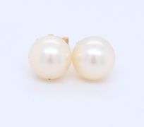 14kt Yellow gold 7.5-8mm pearl stud earrings