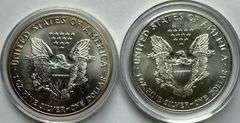 1999 2000 Enameled Silver Eagles