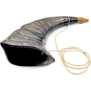War Horn Real Buffalo Horn Battle Trumpet