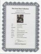 Limited Edition Pierre-Auguste Renoir (After) Original Heliogravure 1919