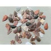 Lot of 50 Natural Agate Arrowheads