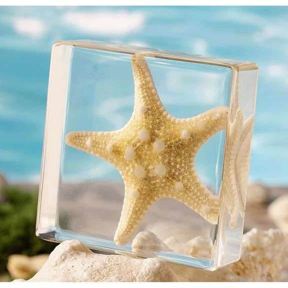 Real Starfish Preserved in Resin Paperweight