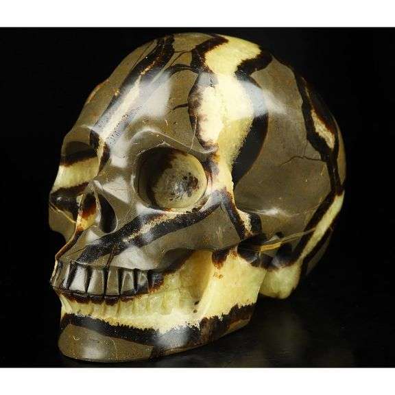 5-Inch Hand Carved Dragon Septarian Skull Gemstone