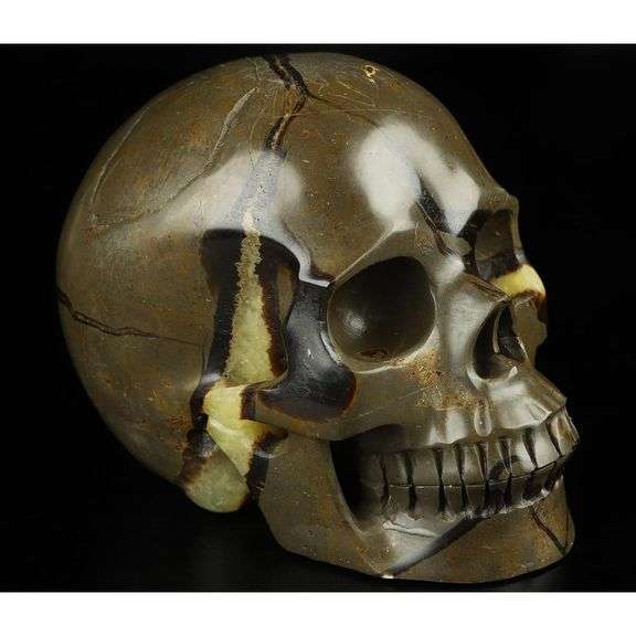 5-Inch Hand Carved Dragon Septarian Skull Gemstone