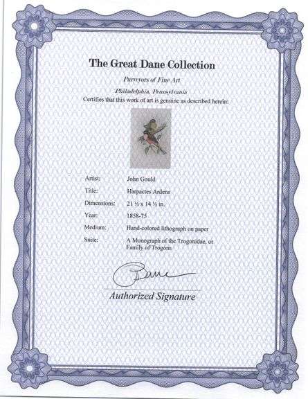 Exclusive John Gould Hand-Colored Lithograph Trogon Bird, 1858-75