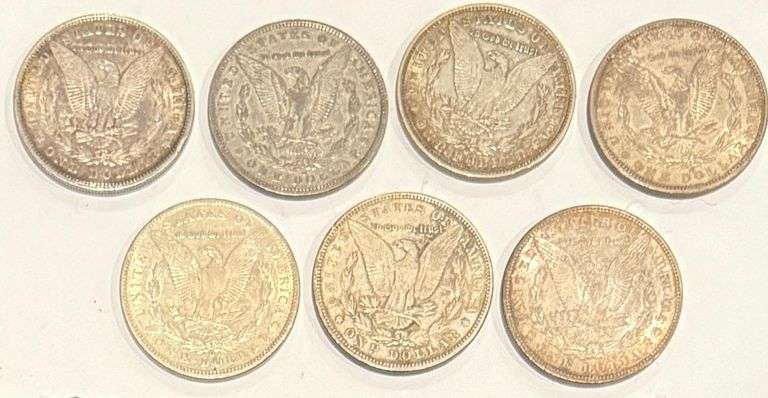 7 Different Pre1900 Raw Morgan P or O Mint