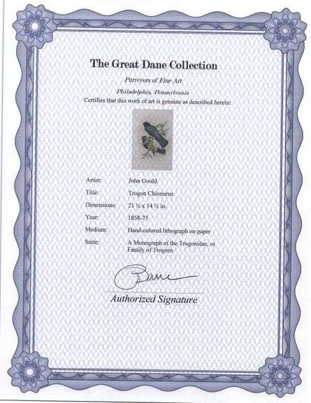 Exclusive John Gould Hand-Colored Lithograph Trogon Bird, 1858-80 John Gould Trogon Chionurus