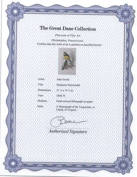 Exclusive John Gould Hand-Colored Lithograph Trogon Bird, 1858-77