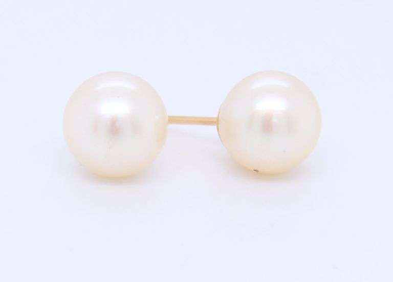 14kt Yellow gold 7.5-8mm pearl stud earrings