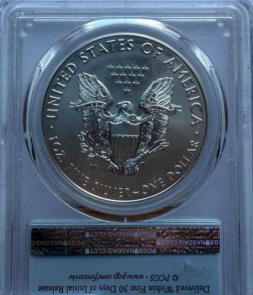 2017 W PCGS SP 70 Burnished First Strike Silver Eagle