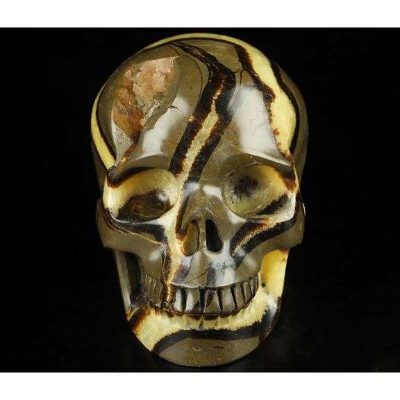 5-Inch Hand Carved Dragon Septarian Skull Gemstone
