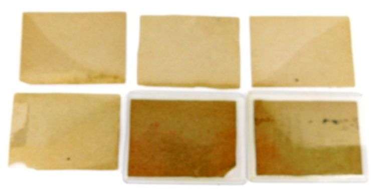 6 Post Cereal Baseball Cards