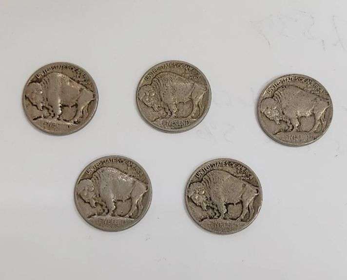 1913 Type 1 Buffalo Nickel Lot with a 1913- D Type 1