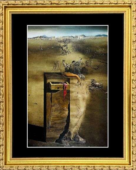 Rare Salvador Dali, Spain