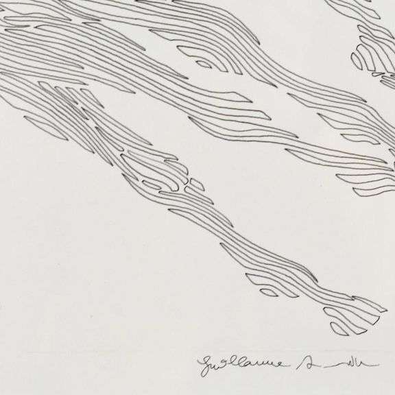 Preliminary Sketch BDCA by Azoulay