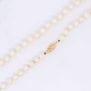 Fresh water pearl strand necklace