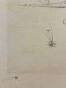 Rare Salvador Dali Pencil Signed Etching on Parchment Paper from 'Roi je t'attends à Babylone' suite