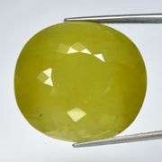 Ridiculously large! 41.96ct UNTREATED collectors Beryl!