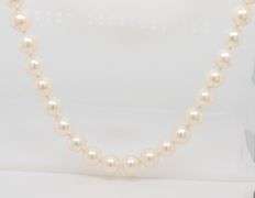 Elegant 6-6.5mm White Fresh Water Pearl Necklace