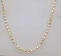 White Fresh Water Pearl Necklace