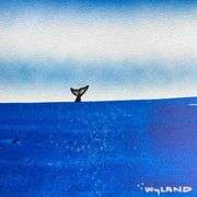 Fluke by Wyland