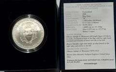 2008 W Silver Eagle with Box and Paper