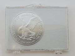 2025 Merry Christmas Silver Eagle