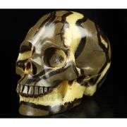 5-Inch Hand Carved Dragon Septarian Skull Gemstone