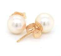 14kt yellow gold 6.5-7mm pearl stud earrings