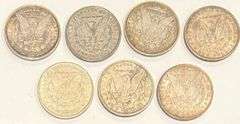 7 Different Pre1900 Raw Morgan P or O Mint
