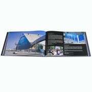 100 Whaling Walls by Wyland