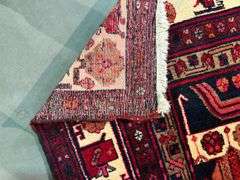 Stunning Persian Hamedan  Rug 5x9.7