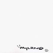 Turtle by Wyland