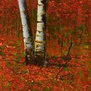 Untitled by Inam