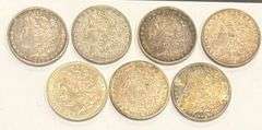 7 Different Pre1900 Raw Morgan P or O Mint