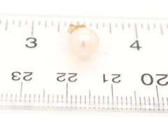 14kt Yellow gold freshwater pearl stud earrings